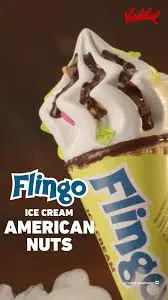 Vadilal Flingo American Nuts Cone