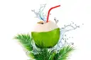 Coconut Water – image 1