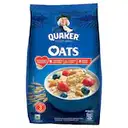 Quaker Oats 400g – image 1