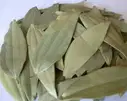 Brinji leaf (Tej patta) – image 1