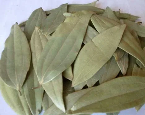 Brinji leaf (Tej patta)