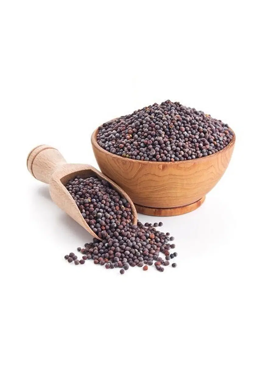 ChennaiStar Kadagu (Mustard)