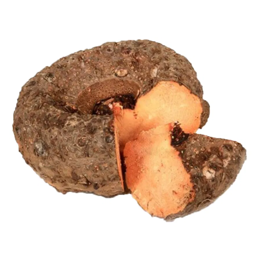 Chena Kizhangu