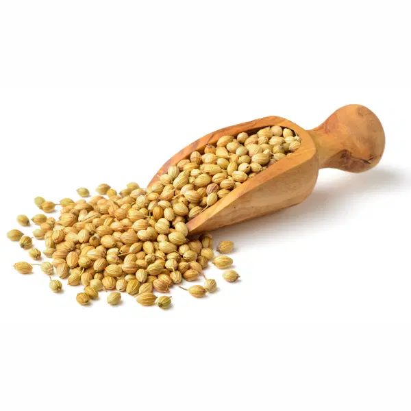 ChennaiStar Coriander (Dhania Seeds)