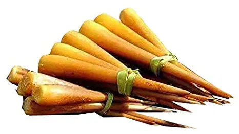 Palmyra Sprout Panang Kilangu