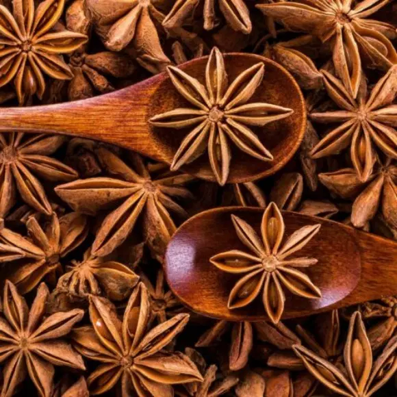 Annachi poo (Star Anise)