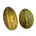 Cucumber – image 1