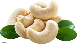ChennaiStar Cashew (Kaju)