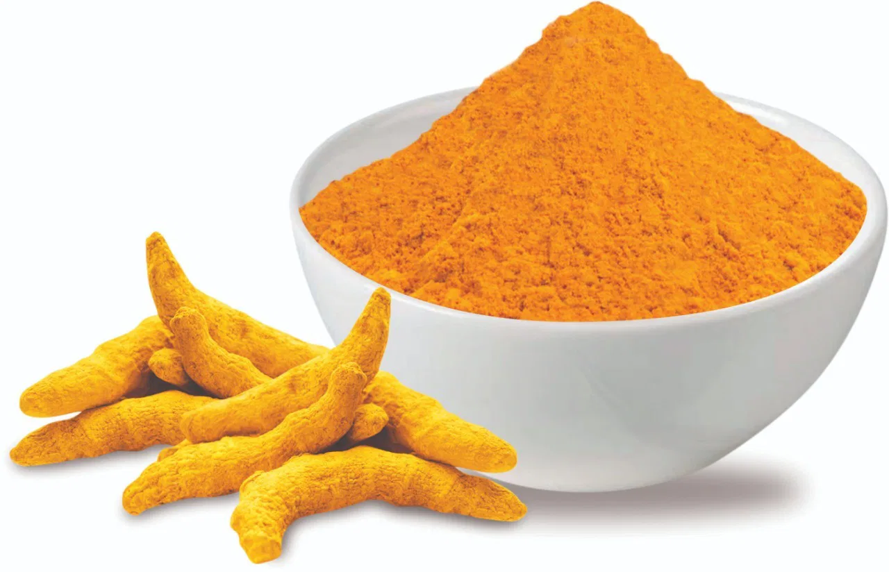 ChennaiStar Turmeric Powder