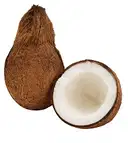 Water Coconut-Medium – image 1