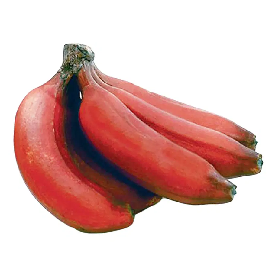 Red Banana