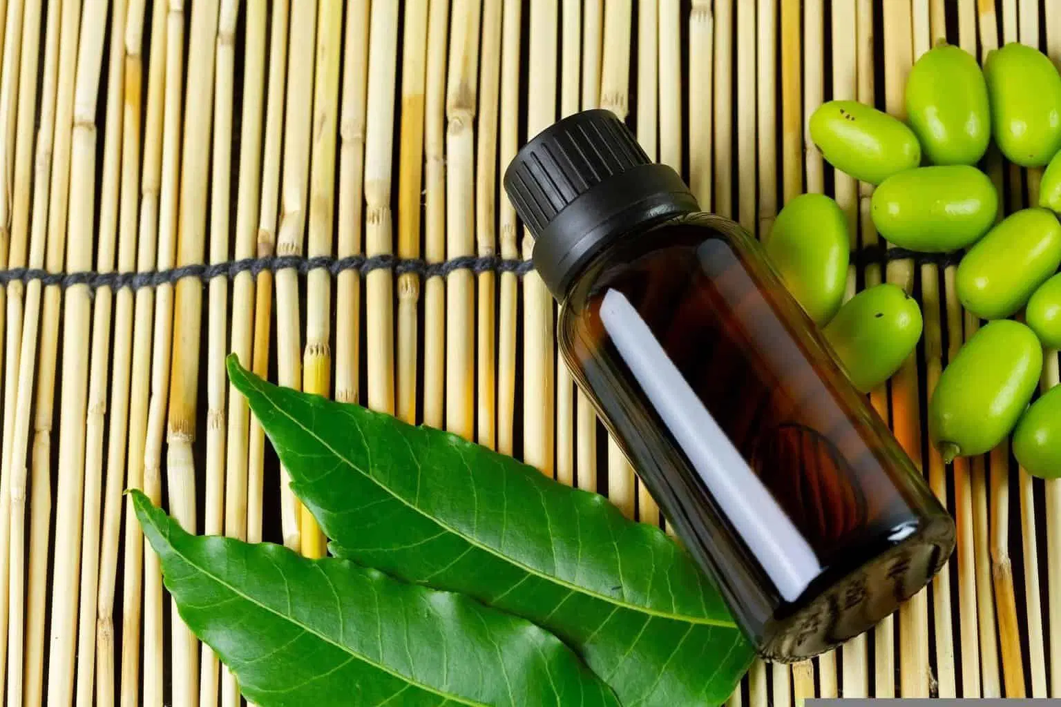Neem Oil