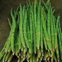 DRUMSTICKS - SAHJAN – image 1