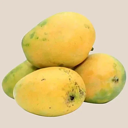 आम @ Rs 49