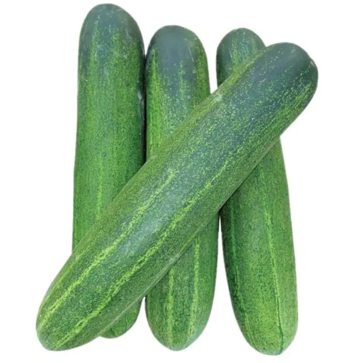 CUCUMBER (KHEERA) 500 GM