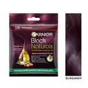 GARNIER COLOR NATURALS BURGUNDY – image 1