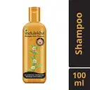 INDULEKHA BRINGHA SHAMPOO – image 1