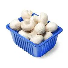MASHROOM / MUSHROOM 200 GM -250 GM