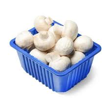MASHROOM / MUSHROOM 200 GM -250 GM
