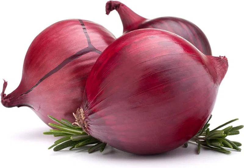 NEW ONION LOCAL