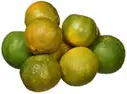 ORANGE NAGPUR  – image 1