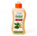 PATANJALI HERBAL HANDWASH – image 1