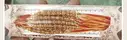 RAKHI MJT1- PACK OF 12 – image 1