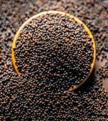 SABUT BLACK SARSO (RAI) 100 G