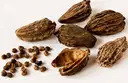 BADI ELAICHI 50 G – image 1