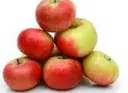 APPLE 500 GM – image 1