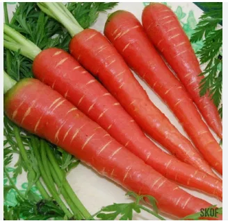 CARROT 1KG