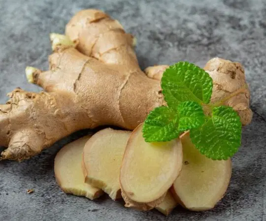 GINGER (ADRAK)