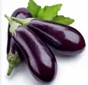 BRINJAL / PURPLE – image 1