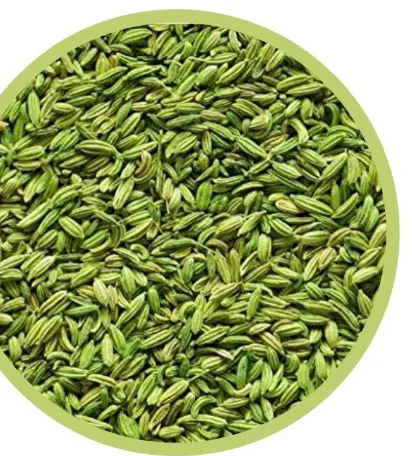 SAUNFF 100GM