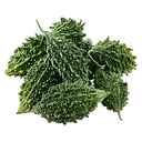 KARELA - BITTER GOURD – image 1