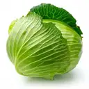 CABBAGE BAND GOBI – image 1