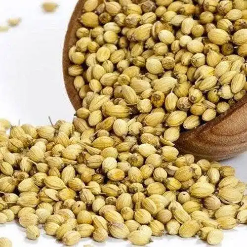 DHANIYA 25G (SURUCHI WHOLE SPICES)