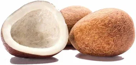 COCONUT /NARIYAL/ GADI
