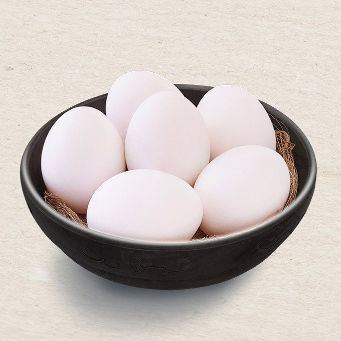EGG