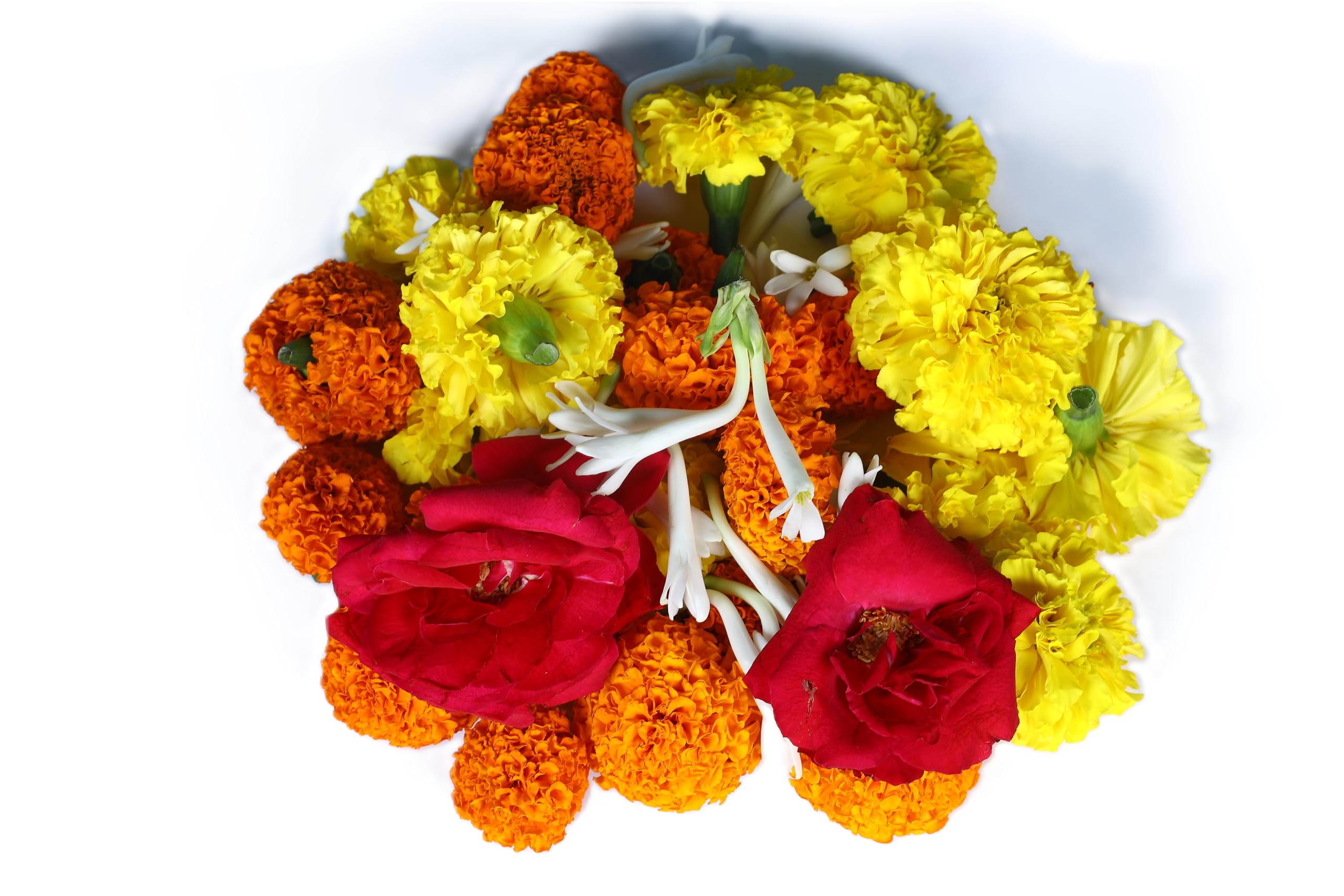 Fresh Flower