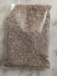 JEERA LOOSE 100 GM PKT