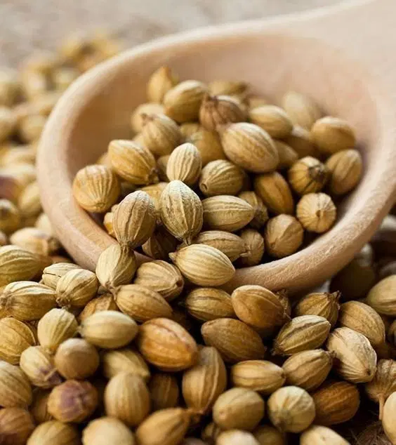 DHANIYA KHADA JHATPAT 50G