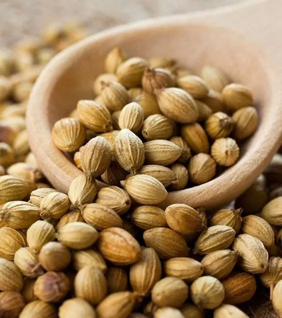 DHANIYA KHADA JHATPAT 50G