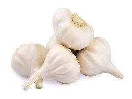 LAHSUN / GARLIC