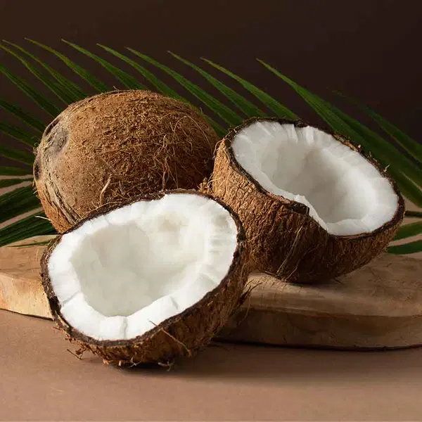 COCONUT - PUJA
