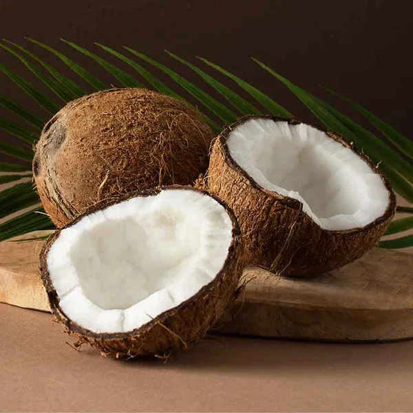 COCONUT - PUJA