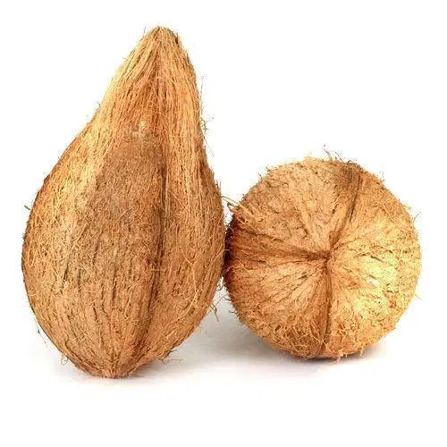 COCONUT - पानी वाला नारियल - पूजा - 1 PC