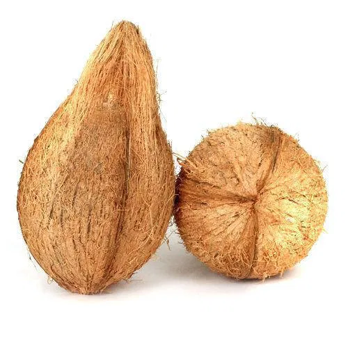 COCONUT - पानी वाला नारियल - पूजा - 1 PC