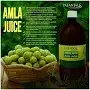 PATANJALI AMLA JUICE – image 2