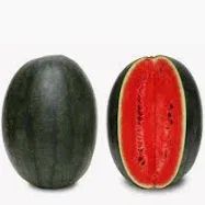 WATER MELON / TARBUJ 2 KG TO 2.5 KG / LOCAL